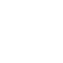 Bag icon